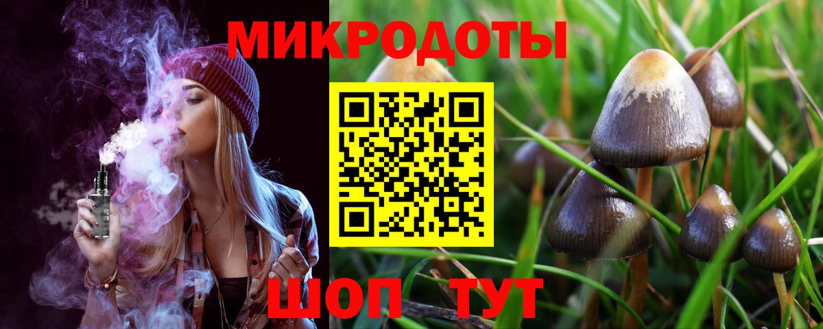 Галлюциногенные грибы GOLDEN TEACHER Кызыл