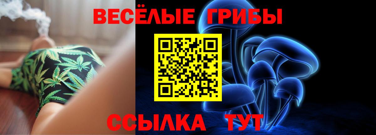 Кызыл  Псилоцибиновые грибы прущие грибы  Вход с VPN 